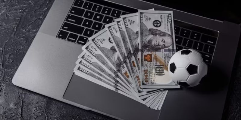 Hoa hồng cạnh tranh bậc nhất trên thị trường giải trí cá cược